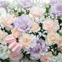 アニヴェルセル 豊洲の写真15枚目