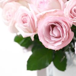 ザ・ピーク プレミアムテラスの写真8枚目