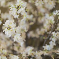 ホテル雅叙園東京の写真31枚目