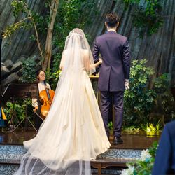 クラシカ表参道の写真8枚目