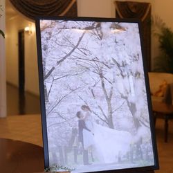 アルカンシエル ベリテ 大阪の写真20枚目