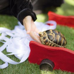 ザ・ルイガンズ スパ＆リゾートの写真5枚目