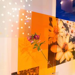 CLASKAの写真17枚目