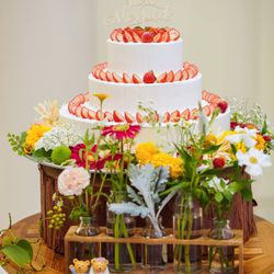 アーセンティア迎賓館 大阪の写真18枚目