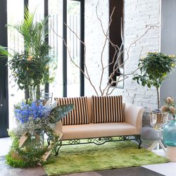 ビアンカーラ ヒルサイドテラスの写真4枚目