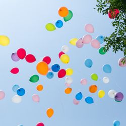 ビアンカーラ ヒルサイドテラスの写真10枚目