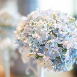 東京會舘の写真12枚目