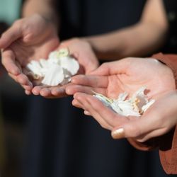 東京會舘の写真8枚目