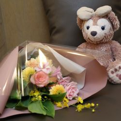 アンジェローブ の写真35枚目