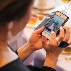 アルタビスタ ガーデンの写真18枚目