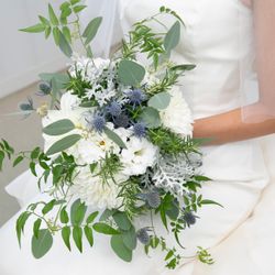 リビエラ逗子マリーナの写真17枚目