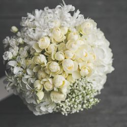 SOLA KOBEの写真28枚目