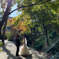 ザ・ガーデンオリエンタル大阪の写真16枚目