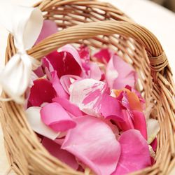 キャメロットヒルズの写真16枚目