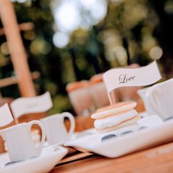 キャメロットヒルズの写真14枚目