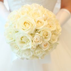 ラグナヴェール プレミア  LAGUNAVEIL PREMIERの写真22枚目