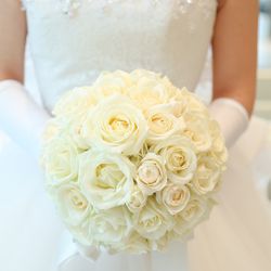 ラグナヴェール プレミア  LAGUNAVEIL PREMIERの写真34枚目