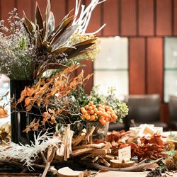 アルジェントの写真16枚目