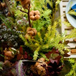 葛西臨海公園ウエディング Denim-デニム-の写真35枚目