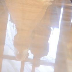 ホテル椿山荘東京の写真17枚目