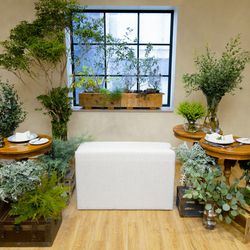 ラシック アンジュールの写真28枚目