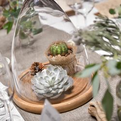 BAYSIDE GEIHINKAN VERANDA minatomiraiの写真10枚目