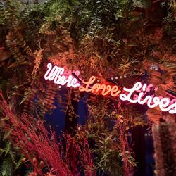 BAYSIDE GEIHINKAN VERANDA minatomiraiの写真11枚目