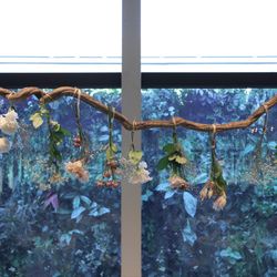 宮の森フランセス教会の写真18枚目