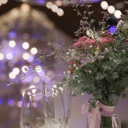 宮の森フランセス教会の写真34枚目