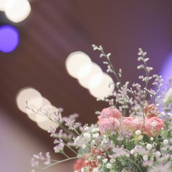 宮の森フランセス教会の写真27枚目