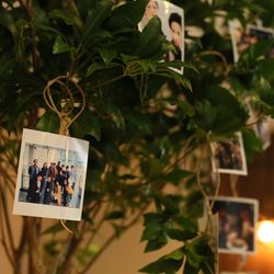 シェラトン・グランデ・トーキョーベイ・ホテルの写真5枚目