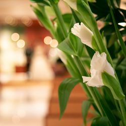 パーク ハイアット 東京の写真32枚目