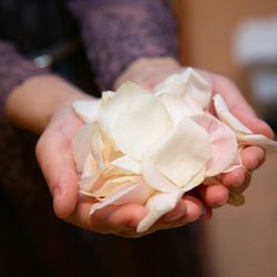 パーク ハイアット 東京の写真1枚目