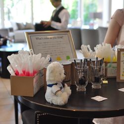 アートグレイス ウエディングコースト 東京ベイの写真16枚目