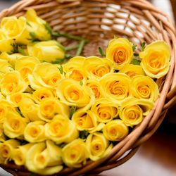 ハートコート横浜の写真8枚目