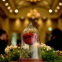 ハートコート横浜の写真13枚目