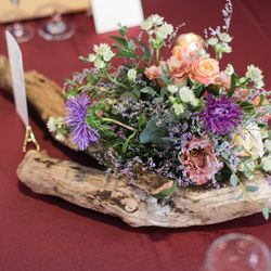 エルム ガーデンの写真17枚目