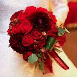 鎌倉鶴岡八幡宮の写真1枚目