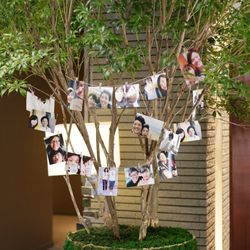 ザ・ピーク プレミアムテラスの写真19枚目