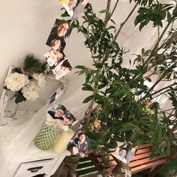 ザ・ピーク プレミアムテラスの写真22枚目