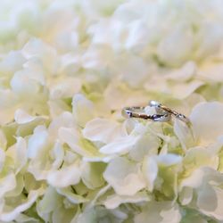 キャルバリー・バイ・ザ・シー教会の写真5枚目