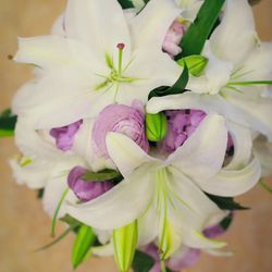 帝国ホテル 東京の写真22枚目