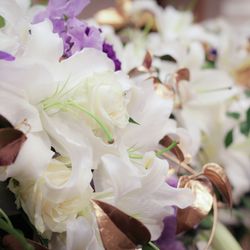 帝国ホテル 東京の写真23枚目