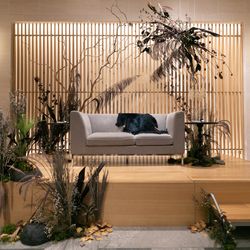 TRUNK HOTELの写真30枚目