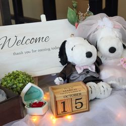 ザ・カワブンナゴヤの写真22枚目