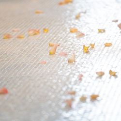 THINGS Aoyama Organic Garden.dthの写真5枚目