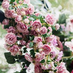 アーカンジェル代官山の写真10枚目