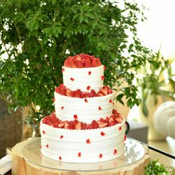 ザ クラシカ ベイリゾートの写真25枚目