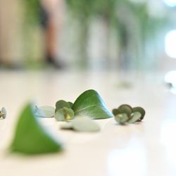 ザ クラシカ ベイリゾートの写真3枚目