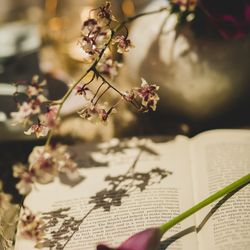 ラソールガーデン名古屋の写真6枚目